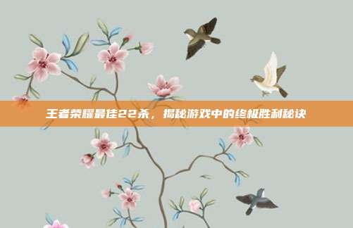 王者荣耀最佳22杀,揭秘游戏中的终极胜利秘诀