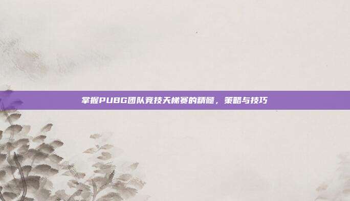 掌握PUBG团队竞技天梯赛的精髓，策略与技巧