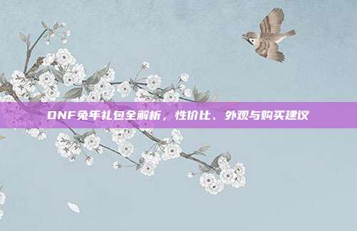 DNF兔年礼包全解析，性价比、外观与购买建议