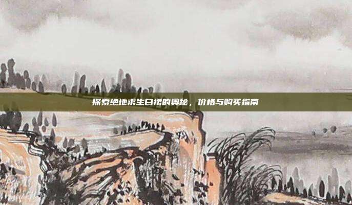探索绝地求生白裙的奥秘,价格与购买指南