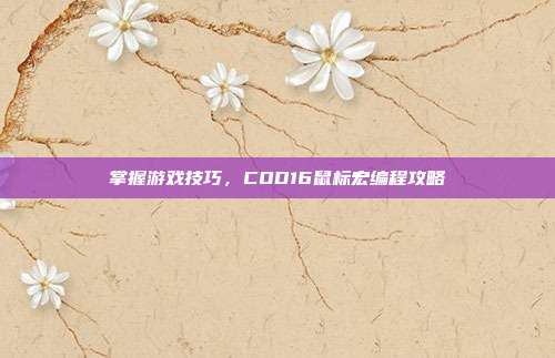 掌握游戏技巧,COD16鼠标宏编程攻略