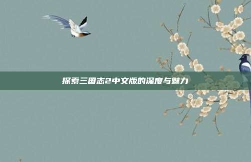 探索三国志2中文版的深度与魅力