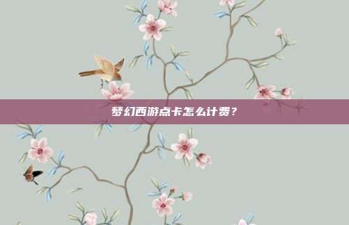 梦幻西游点卡怎么计费?