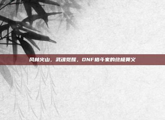 风林火山，武魂觉醒，DNF格斗家的终极奥义