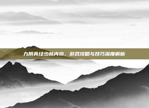 九阴真经少林内功,游戏攻略与技巧深度解析