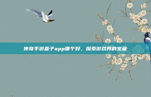 传奇手游盒子app哪个好，探索游戏界的宝藏