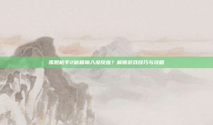 孤胆枪手2秘籍输入没反应?解锁游戏技巧与攻略