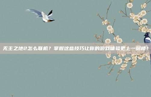 无主之地2怎么联机?掌握这些技巧让你的游戏体验更上一层楼!