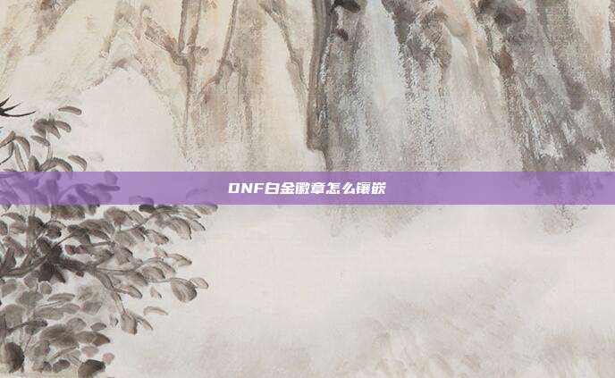 DNF白金徽章怎么镶嵌