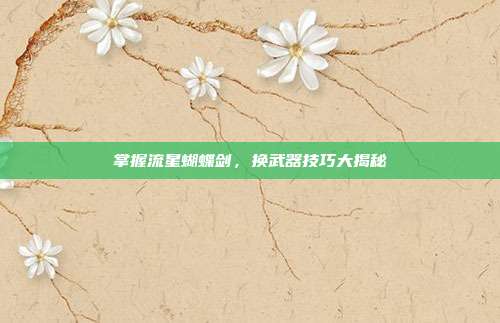 掌握流星蝴蝶剑,换武器技巧大揭秘