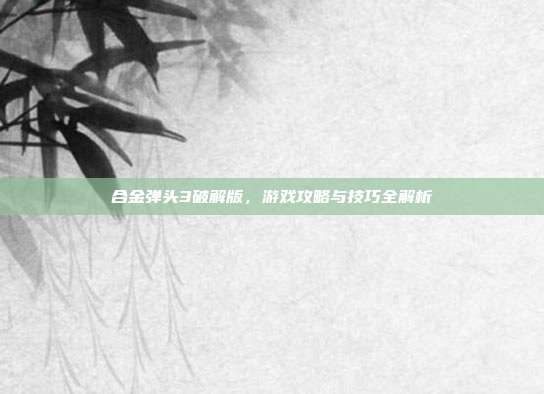 合金弹头3破解版,游戏攻略与技巧全解析