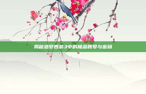揭秘造梦西游3中的极品账号与密码
