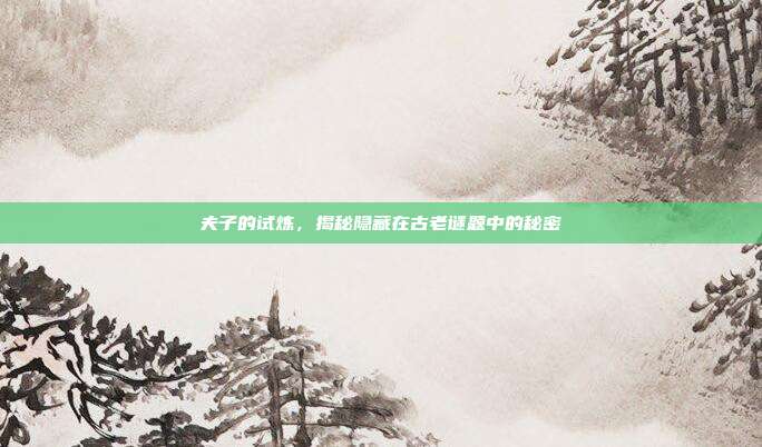 夫子的试炼,揭秘隐藏在古老谜题中的秘密