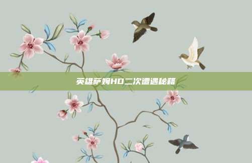 英雄萨姆HD二次遭遇秘籍