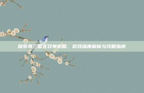 探索真三国无双单机版,游戏深度解析与攻略指南