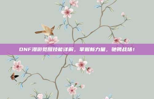 DNF漫游觉醒技能详解,掌握新力量,驰骋战场!