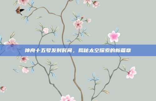 神舟十五号发射时间,揭秘太空探索的新篇章