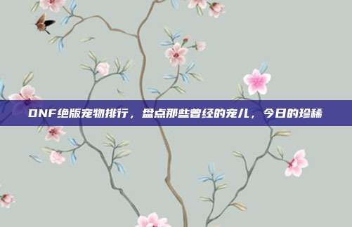 DNF绝版宠物排行,盘点那些曾经的宠儿,今日的珍稀