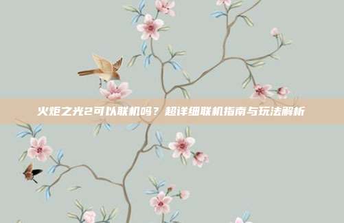 火炬之光2可以联机吗?超详细联机指南与玩法解析