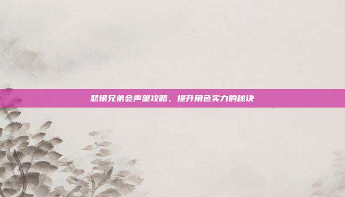 瑟银兄弟会声望攻略,提升角色实力的秘诀