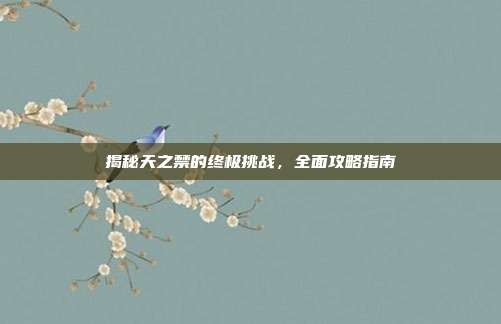 揭秘天之禁的终极挑战,全面攻略指南