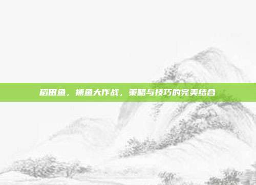 稻田鱼,捕鱼大作战,策略与技巧的完美结合