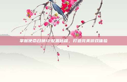 掌握使命召唤12配置秘籍,打造完美游戏体验