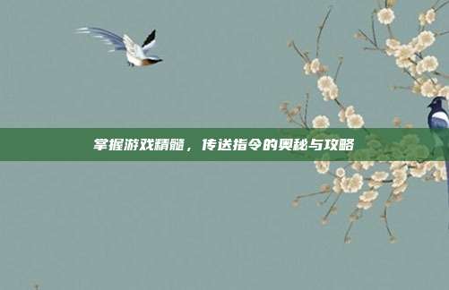 掌握游戏精髓,传送指令的奥秘与攻略