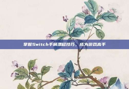 掌握Switch手柄漂移技巧,成为游戏高手