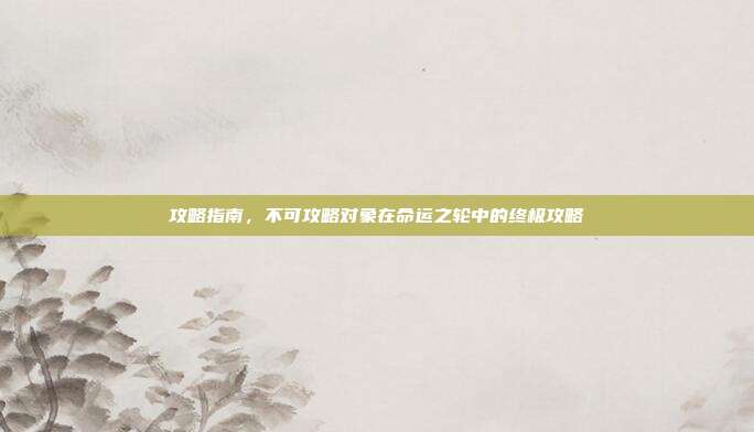 攻略指南,不可攻略对象在命运之轮中的终极攻略