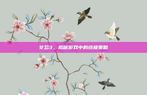 女忍3,揭秘游戏中的终极策略