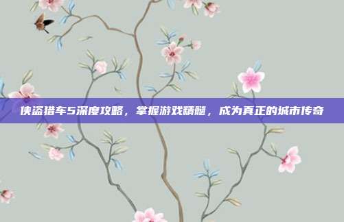 侠盗猎车5深度攻略，掌握游戏精髓，成为真正的城市传奇