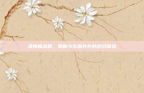 汤姆猫战营，策略与乐趣并存的游戏体验
