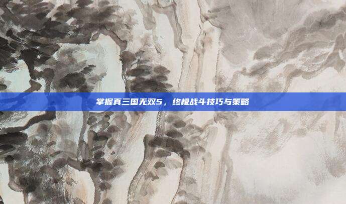 掌握真三国无双5,终极战斗技巧与策略