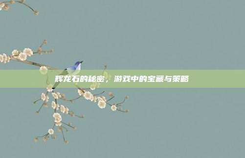 辉龙石的秘密，游戏中的宝藏与策略