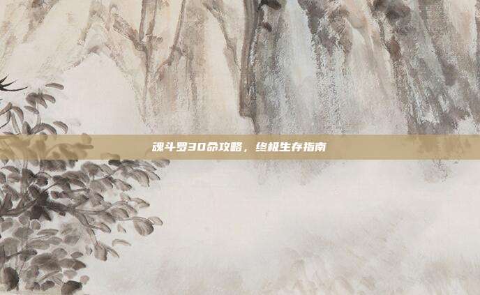 魂斗罗30命攻略,终极生存指南