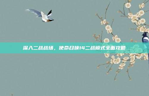 深入二战战场,使命召唤14二战模式全面攻略