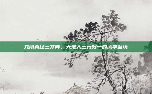 九阴真经三才阵,天地人三元归一的武学至境