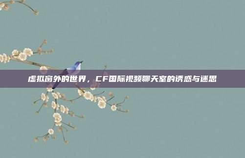 虚拟窗外的世界，CF国际视频聊天室的诱惑与迷思