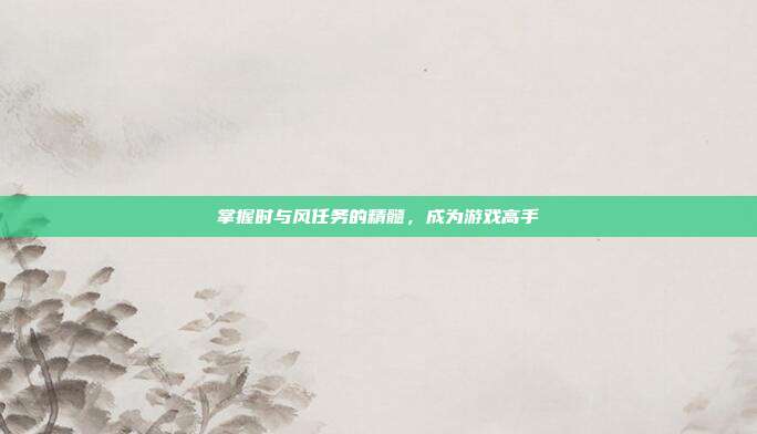 掌握时与风任务的精髓,成为游戏高手