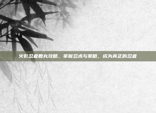 火影忍者鹿丸攻略,掌握忍术与策略,成为真正的忍者