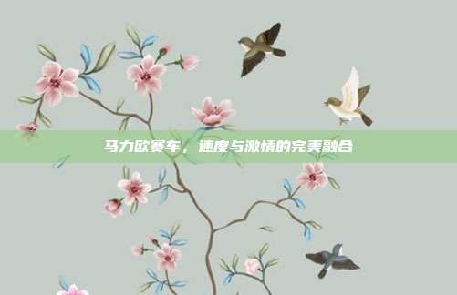 马力欧赛车,速度与激情的完美融合