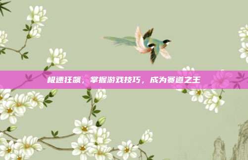 极速狂飙,掌握游戏技巧,成为赛道之王