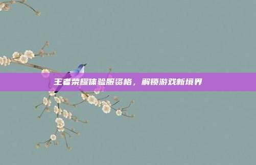 王者荣耀体验服资格,解锁游戏新境界