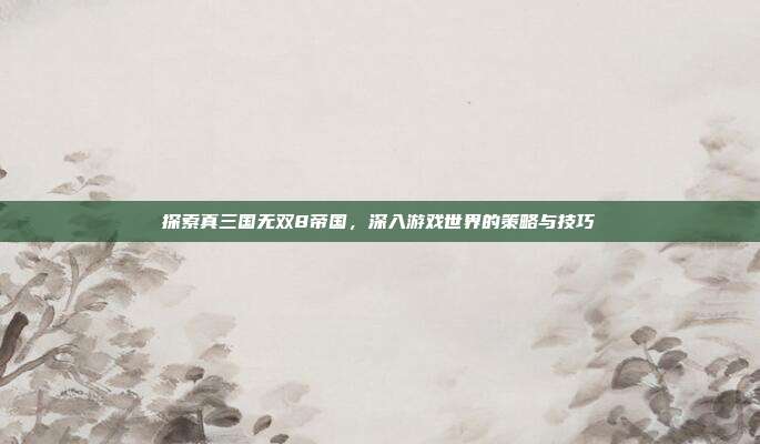 探索真三国无双8帝国,深入游戏世界的策略与技巧