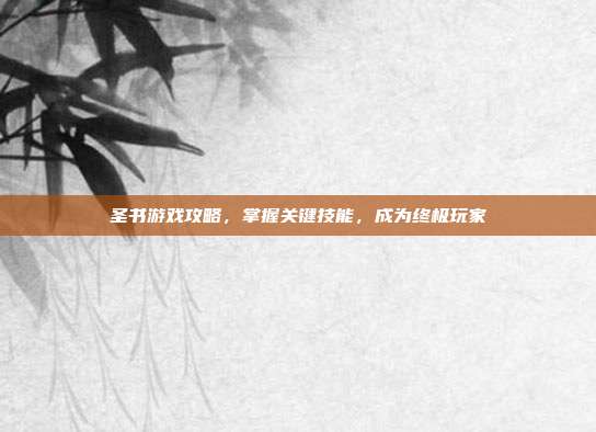 圣书游戏攻略,掌握关键技能,成为终极玩家