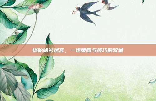 揭秘暗影迷宫,一场策略与技巧的较量