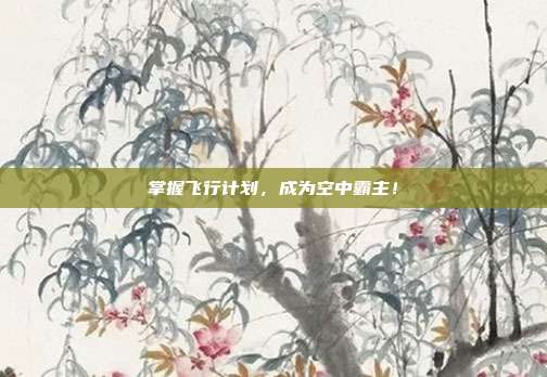 掌握飞行计划,成为空中霸主!