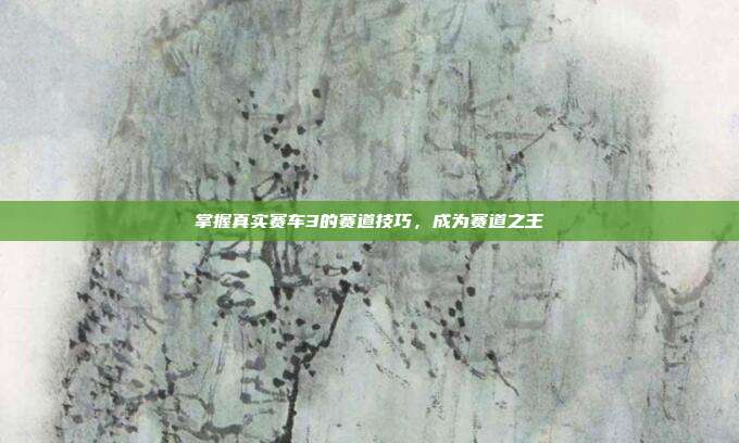 掌握真实赛车3的赛道技巧,成为赛道之王