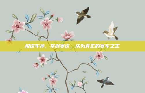 极道车神,掌握赛道,成为真正的赛车之王